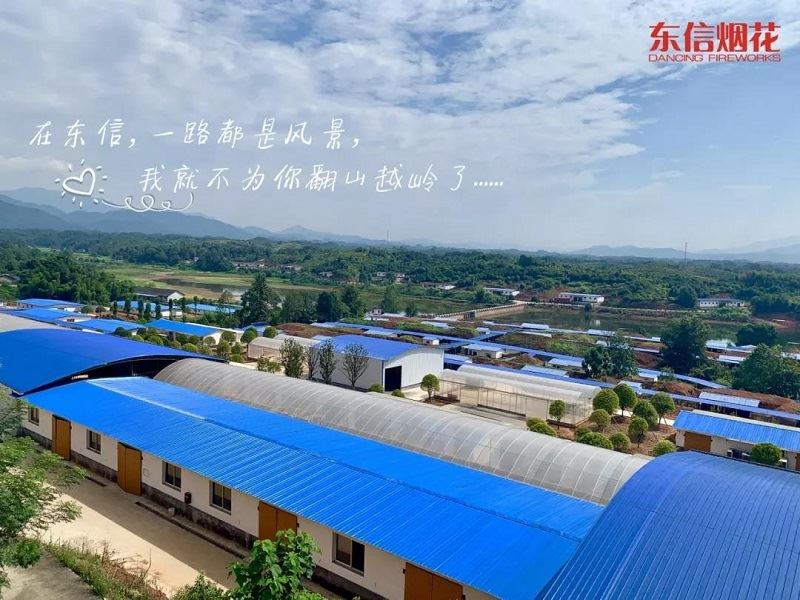 Fireworks Factory Fireworks Factory